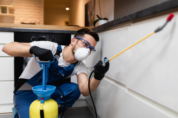 Best Commercial Pest Control Services  in Stone Ridge, VA