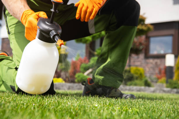 Trusted Stone Ridge, VA Pest Control Experts