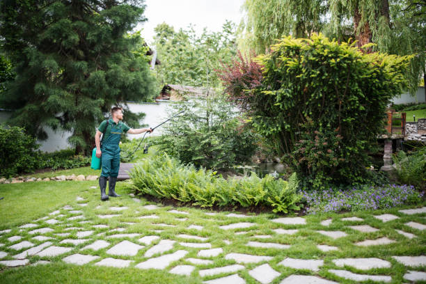Best Best Pest Control Companies  in Stone Ridge, VA