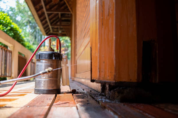 Pest Prevention Services in Stone Ridge, VA