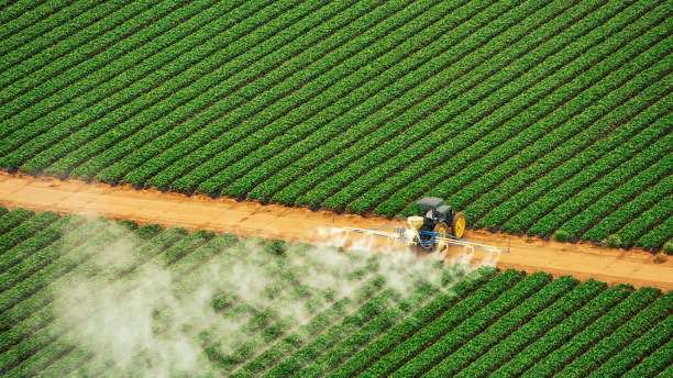 Best Pest Control for Businesses  in Stone Ridge, VA
