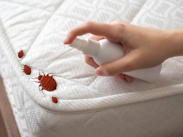 Best Pest Inspection Near Me  in Stone Ridge, VA
